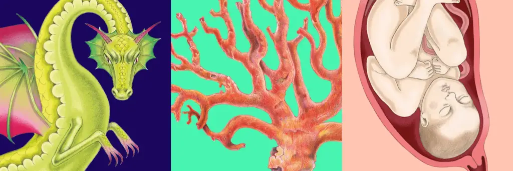 Illustration scientifique